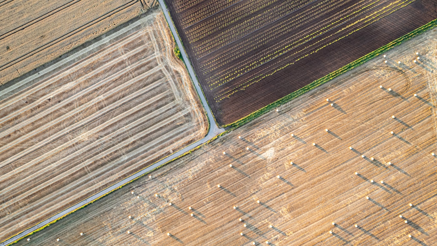 Imagine aeriană verticală peste parcele agricole vecine, cu limite vizibile între culturi.